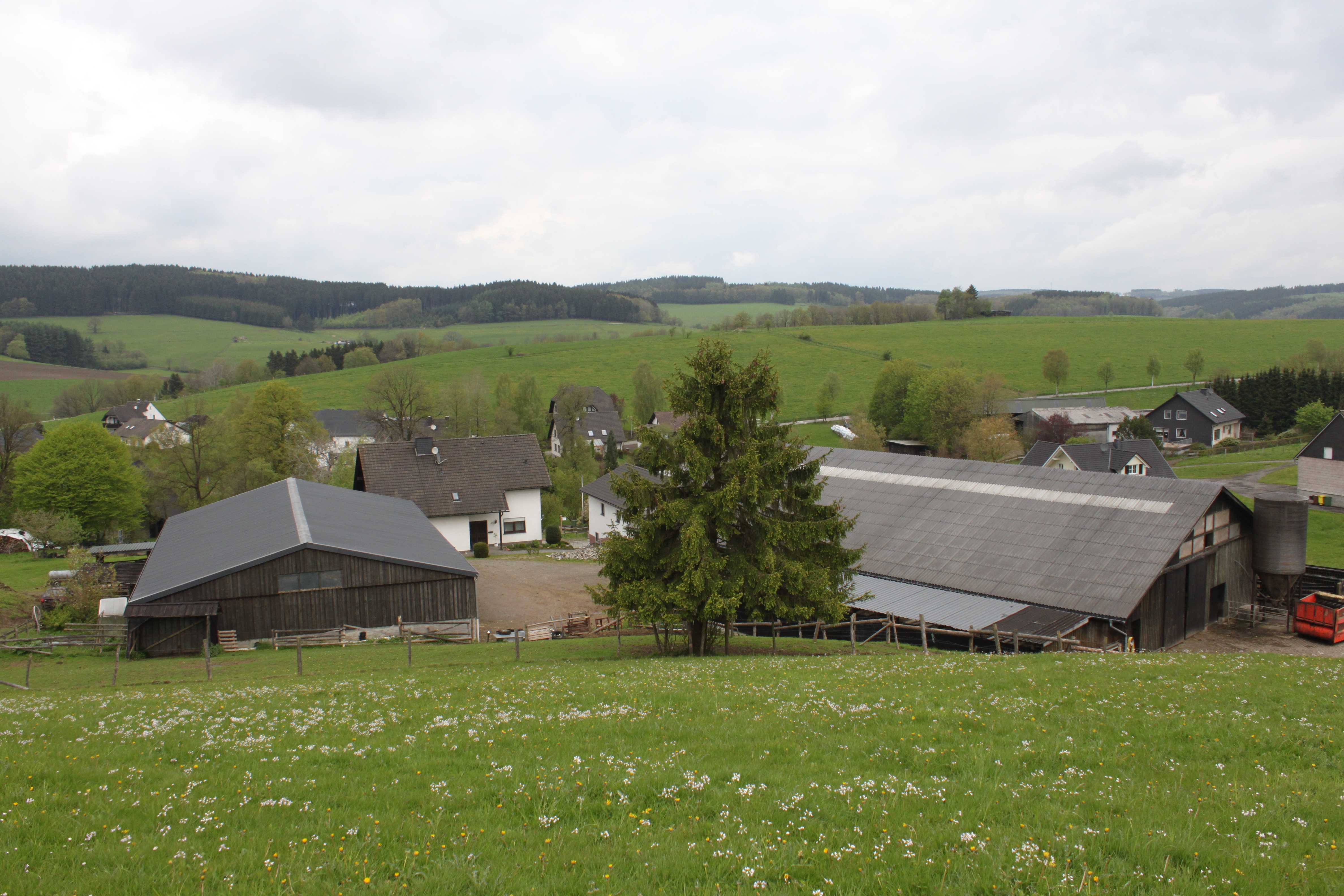 Hilgers4_.jpg